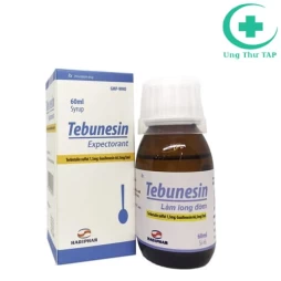Tebunesin Hadiphar - Thuốc điều trị nhiễm trùng đường hô hấp